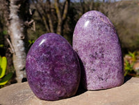 Polished Lepidolite Standing Free Forms x 2 From Ambatondrazaka, Madagascar
