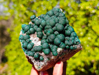 Natural Ball Malachite On Dolomite Matrix Specimens x 2 From Kambove, Congo