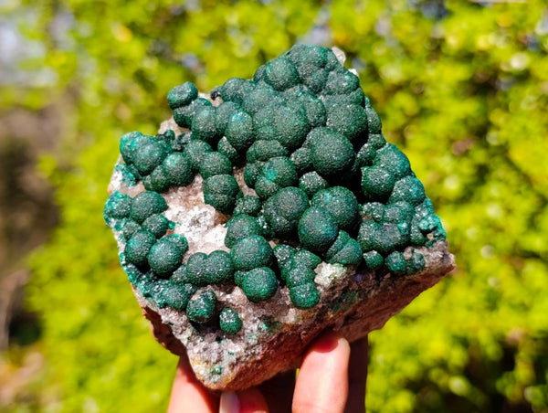 Natural Ball Malachite On Dolomite Matrix Specimens x 2 From Kambove, Congo