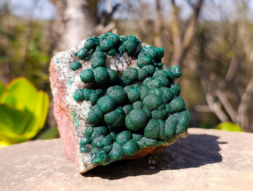 Natural Ball Malachite On Dolomite Matrix Specimens x 2 From Kambove, Congo - Toprock Gemstones and Minerals 