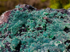 Natural Ball Malachite On Dolomite Matrix Specimen x 1 From Kambove, Congo - Toprock Gemstones and Minerals 