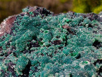 Natural Ball Malachite On Dolomite Matrix Specimen x 1 From Kambove, Congo