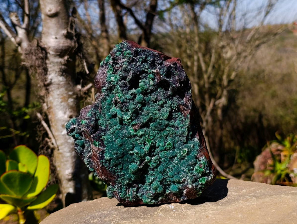 Natural Ball Malachite On Dolomite Matrix Specimen x 1 From Kambove, Congo - Toprock Gemstones and Minerals 