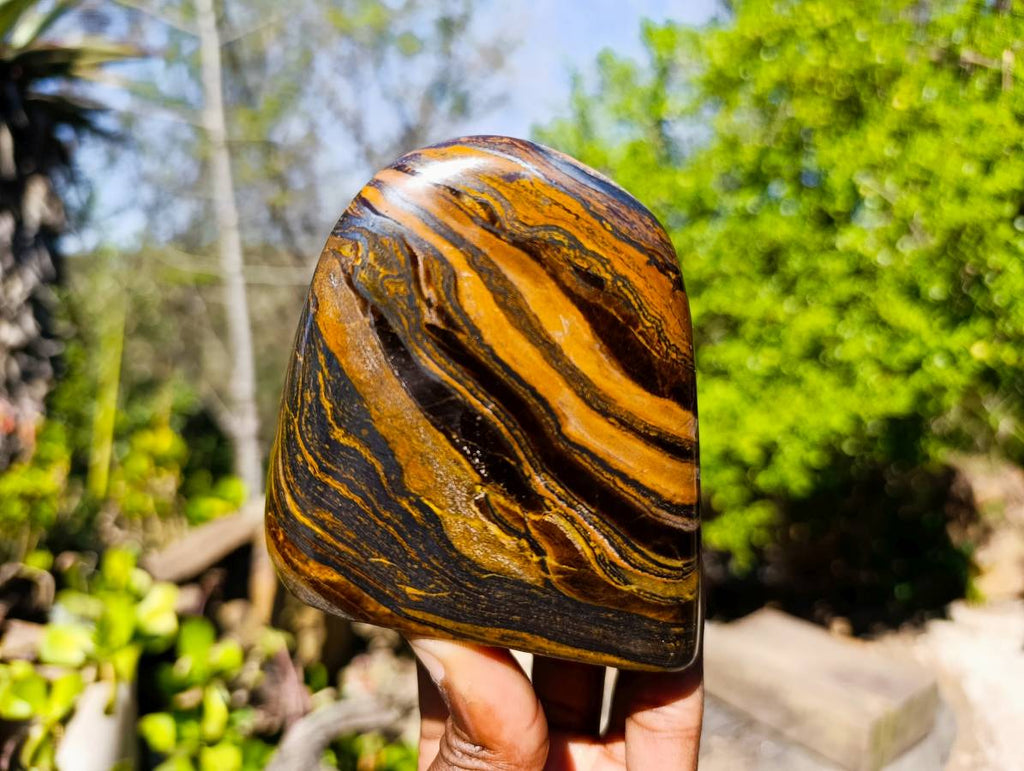 Polished Banded Tiger Iron Standing Free Forms x 3 From South Africa - Toprock Gemstones and Minerals 