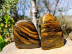 Polished Banded Tiger Iron Standing Free Forms x 3 From South Africa - Toprock Gemstones and Minerals 