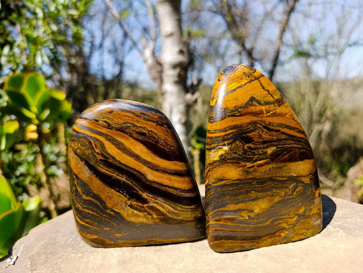 Polished Banded Tiger Iron Standing Free Forms x 3 From South Africa - Toprock Gemstones and Minerals 