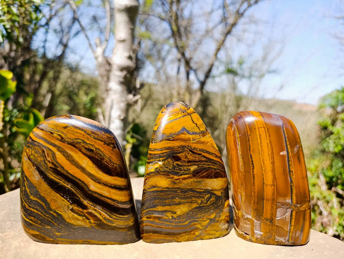 Polished Banded Tiger Iron Standing Free Forms x 3 From South Africa - Toprock Gemstones and Minerals 