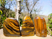 Polished Banded Tiger Iron Standing Free Forms x 3 From South Africa