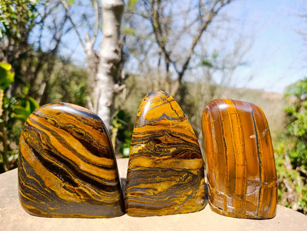 Polished Banded Tiger Iron Standing Free Forms x 3 From South Africa