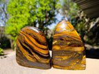 Polished Banded Tiger Iron Standing Free Forms x 3 From South Africa - Toprock Gemstones and Minerals 