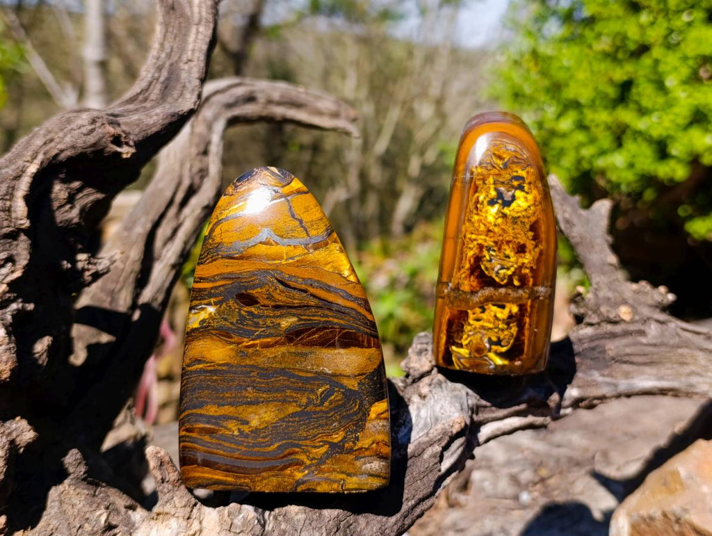 Polished Banded Tiger Iron Standing Free Forms x 3 From South Africa - Toprock Gemstones and Minerals 