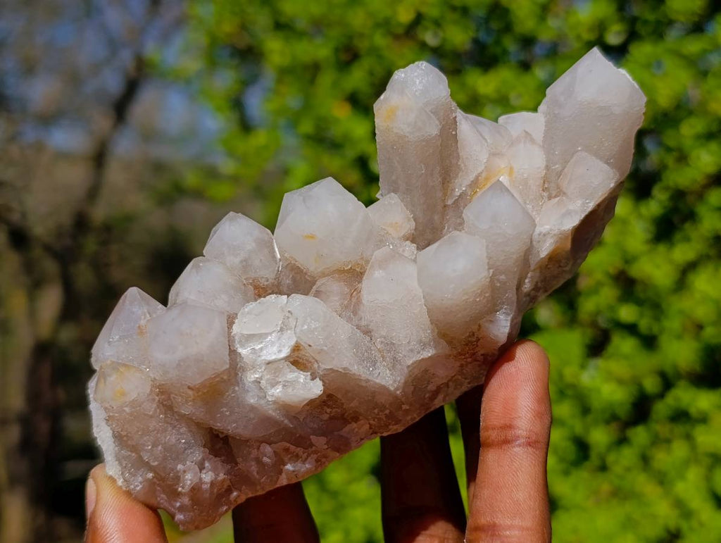 Natural Fairy Spirit Quartz Clusters x 4 From South Africa - Toprock Gemstones and Minerals 