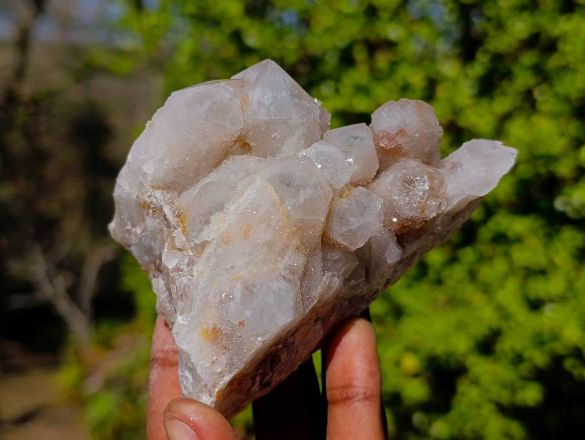 Natural Fairy Spirit Quartz Clusters x 4 From South Africa - Toprock Gemstones and Minerals 