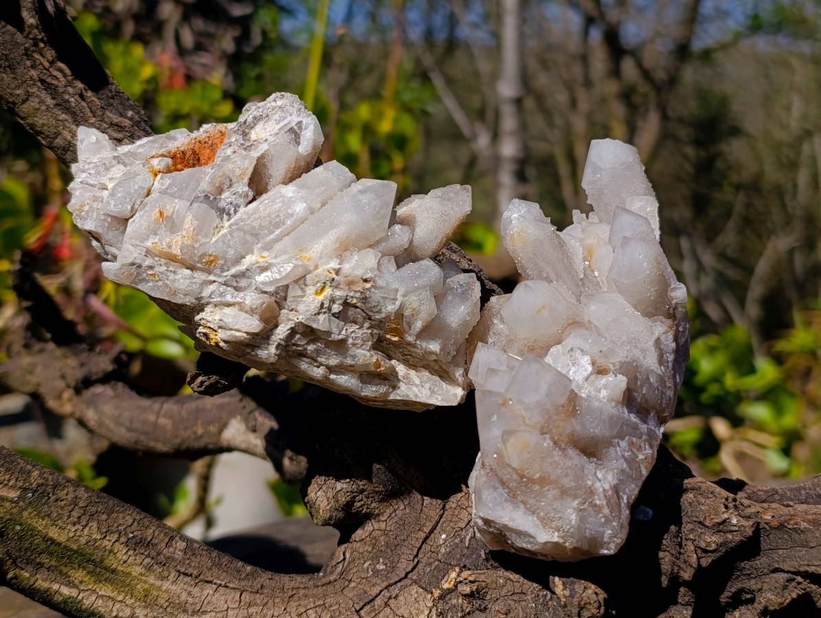 Natural Fairy Spirit Quartz Clusters x 4 From South Africa - Toprock Gemstones and Minerals 