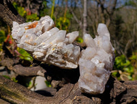 Natural Fairy Spirit Quartz Clusters x 4 From South Africa