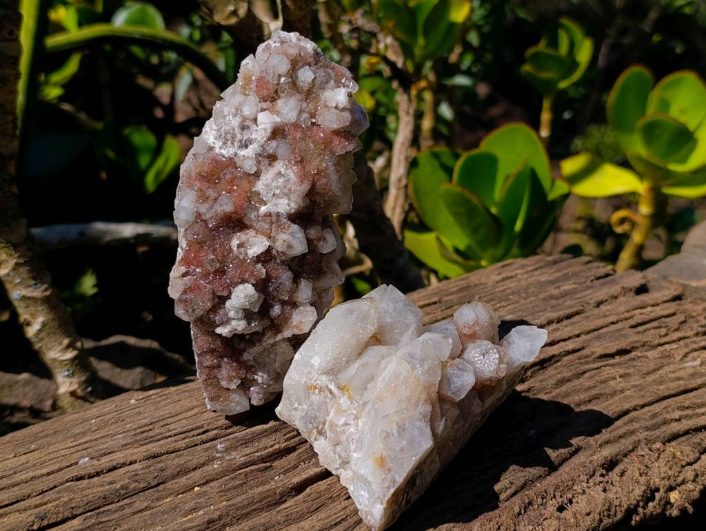 Natural Fairy Spirit Quartz Clusters x 4 From South Africa - Toprock Gemstones and Minerals 