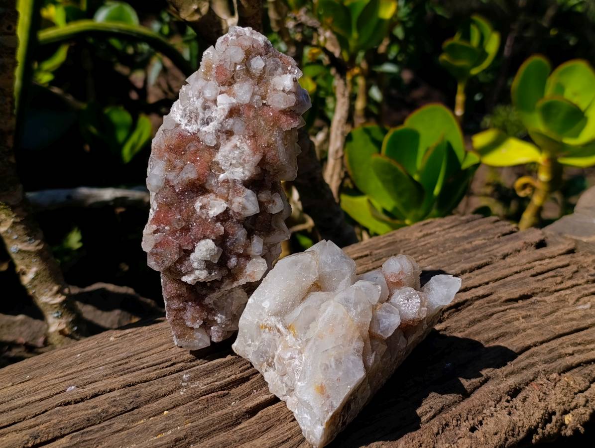 Natural Fairy Spirit Quartz Clusters x 4 From South Africa - Toprock Gemstones and Minerals 