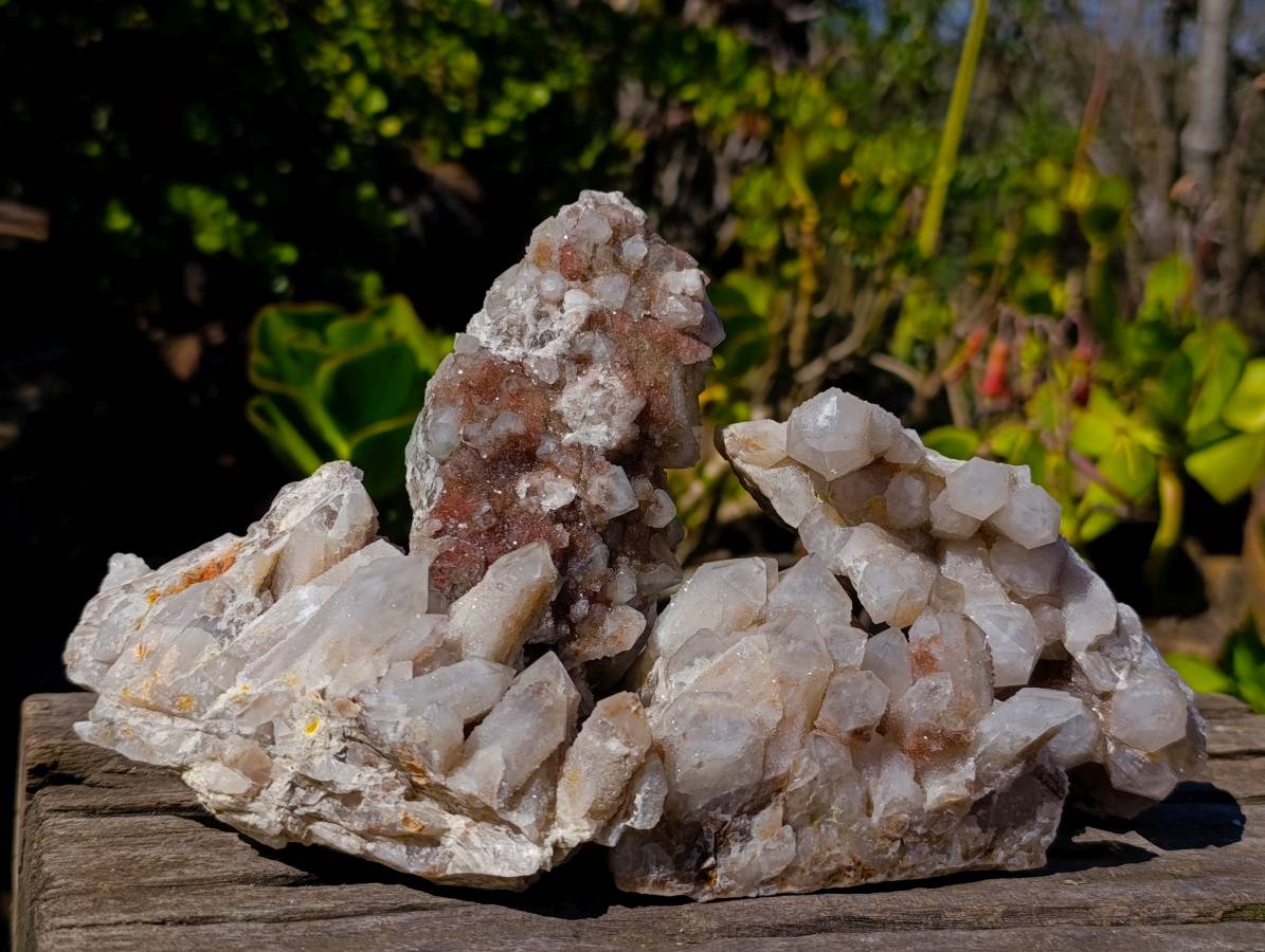 Natural Fairy Spirit Quartz Clusters x 4 From South Africa - Toprock Gemstones and Minerals 
