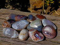 Polished Sashe River Agate Free Forms x 12 From Zimbabwe