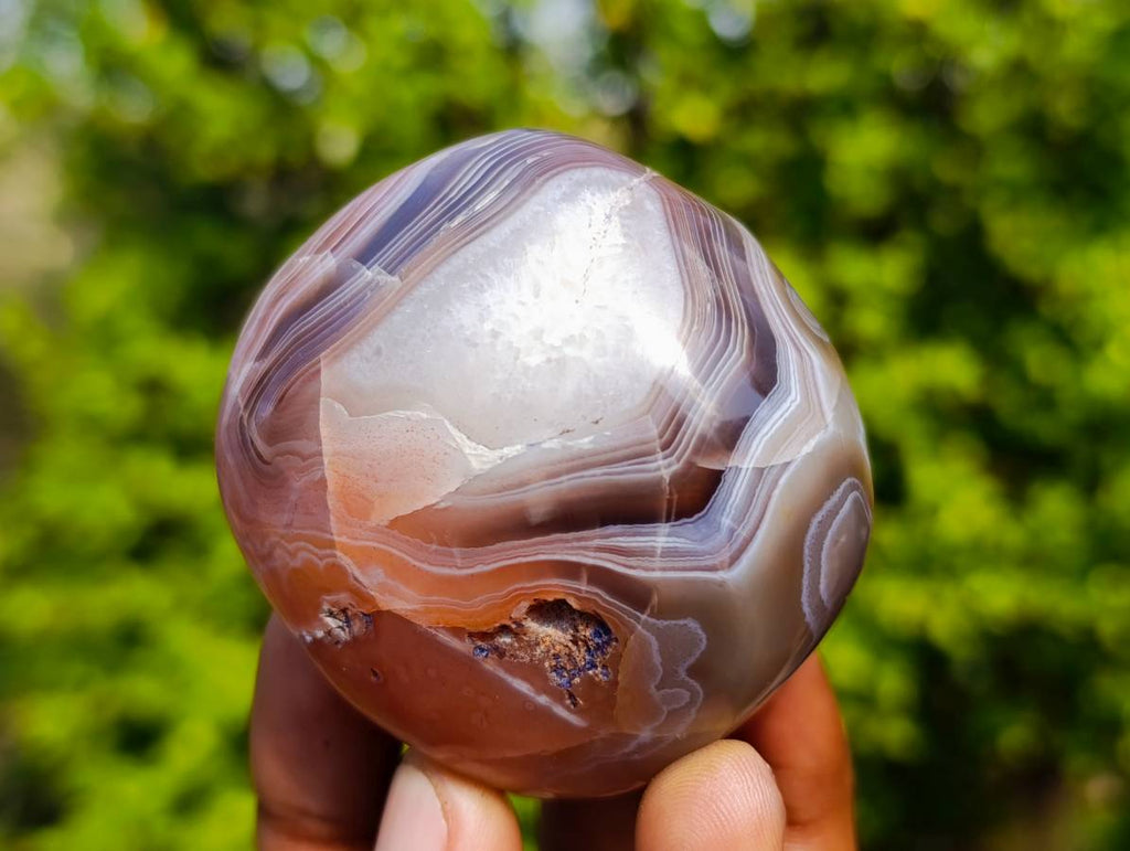Polished Sashe River Agate Free Forms x 12 From Zimbabwe - Toprock Gemstones and Minerals 