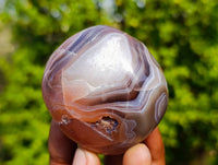Polished Sashe River Agate Free Forms x 12 From Zimbabwe