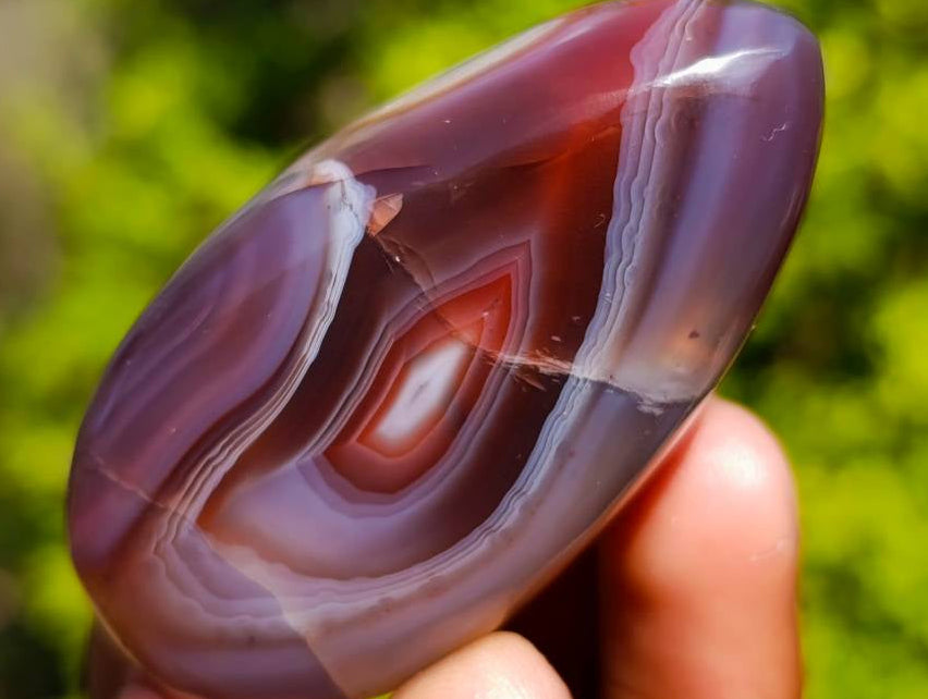 Polished Sashe River Agate Free Forms x 12 From Zimbabwe - Toprock Gemstones and Minerals 