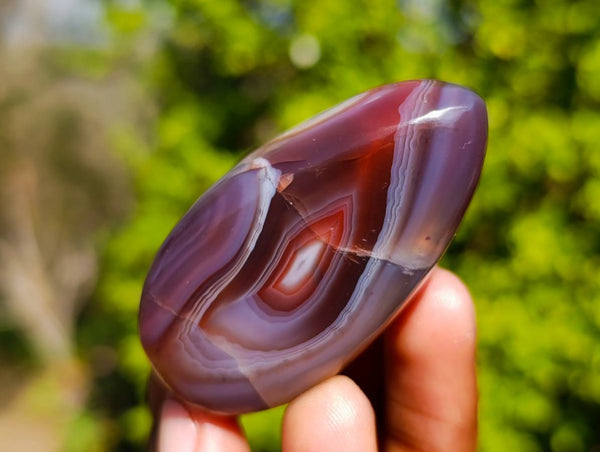 Polished Sashe River Agate Free Forms x 12 From Zimbabwe
