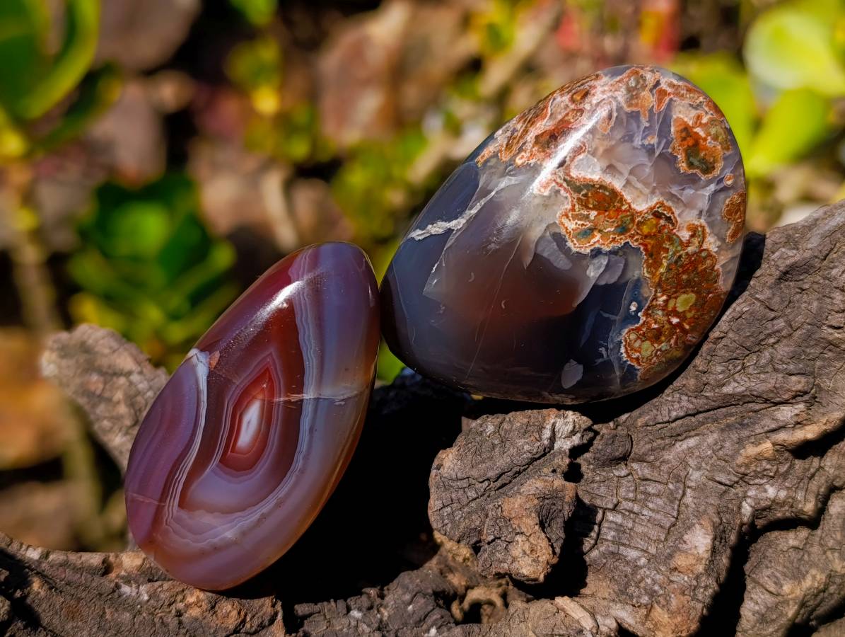 Polished Sashe River Agate Free Forms x 12 From Zimbabwe - Toprock Gemstones and Minerals 
