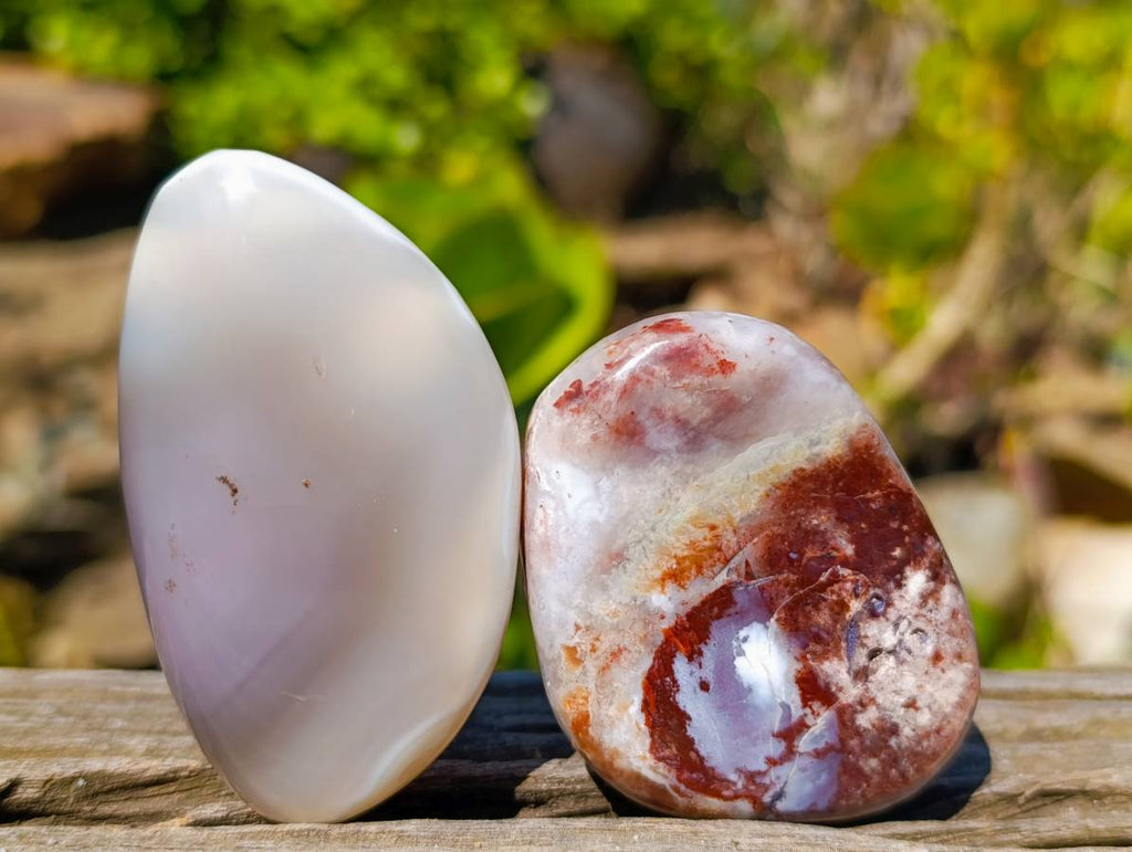 Polished Sashe River Agate Free Forms x 12 From Zimbabwe - Toprock Gemstones and Minerals 