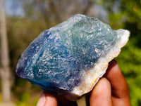 Natural Watermelon Fluorite Cobbed Specimens x 35 From Namibia