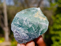 Natural Watermelon Fluorite Cobbed Specimens x 35 From Namibia