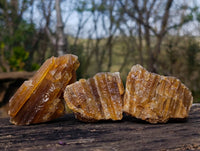 Natural Honey Aragonite Specimens x 12 From Namibia