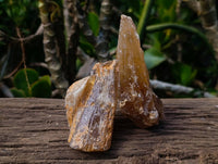 Natural Honey Aragonite Specimens x 12 From Namibia