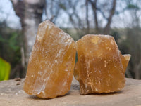 Natural Honey Aragonite Specimens x 12 From Namibia