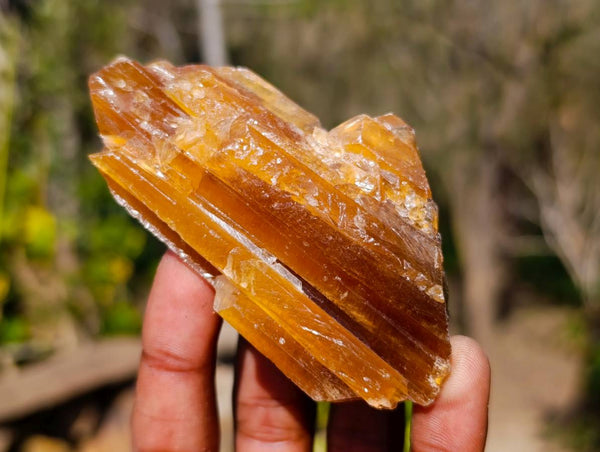 Natural Honey Aragonite Specimens x 12 From Namibia