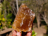 Natural Honey Aragonite Specimens x 12 From Namibia