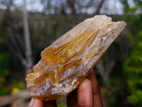 Natural Honey Aragonite Specimens x 12 From Namibia