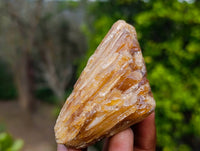 Natural Honey Aragonite Specimens x 12 From Namibia