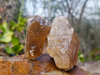 Natural Honey Aragonite Specimens x 12 From Namibia