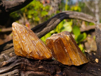 Natural Honey Aragonite Specimens x 12 From Namibia