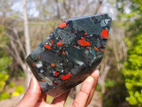 Polished Bloodstone Points x 2 From Swaziland