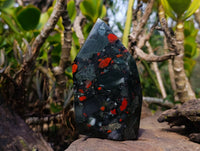 Polished Bloodstone Points x 2 From Swaziland