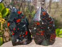 Polished Bloodstone Points x 2 From Swaziland