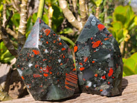 Polished Bloodstone Points x 2 From Swaziland