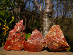Natural Brecciated Red Jasper Cobbed Specimens x 24 from South Africa - Toprock Gemstones and Minerals 