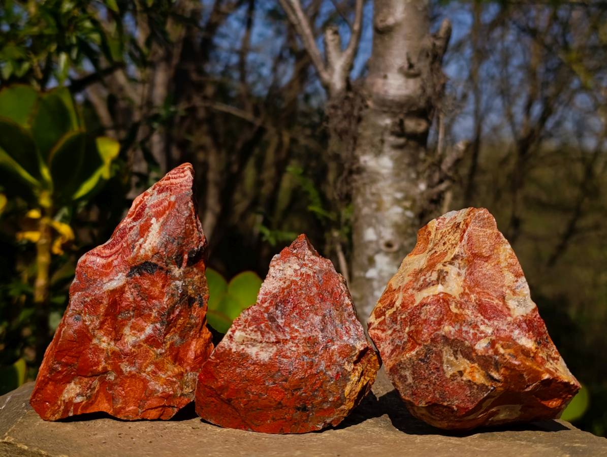 Natural Brecciated Red Jasper Cobbed Specimens x 24 from South Africa - Toprock Gemstones and Minerals 