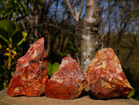 Natural Brecciated Red Jasper Cobbed Specimens x 24 from South Africa