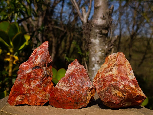 Natural Brecciated Red Jasper Cobbed Specimens x 24 from South Africa