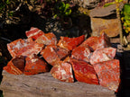 Natural Brecciated Red Jasper Cobbed Specimens x 24 from South Africa - Toprock Gemstones and Minerals 