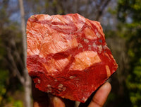Natural Brecciated Red Jasper Cobbed Specimens x 24 from South Africa